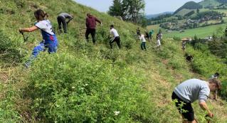 Jeunes en action : Montagne